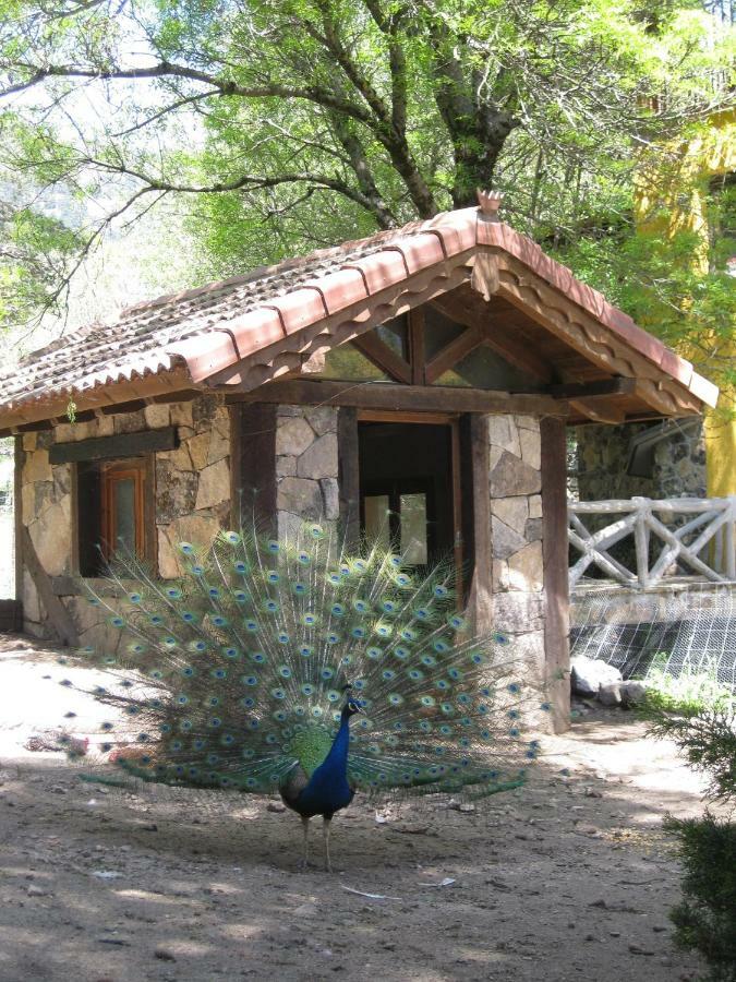Hotel Rural Los Frutales Cercedilla Dış mekan fotoğraf